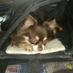 Meet your Posher, Walter